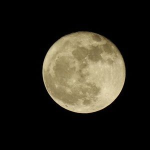 Meet your Posher, Ty